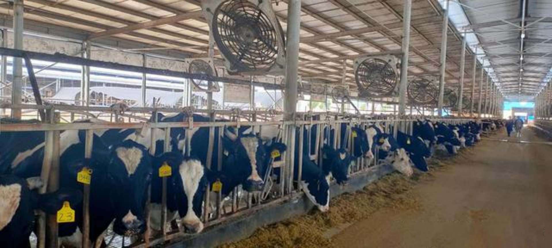 1648692933829880.jpg 1648692933829880.jpg