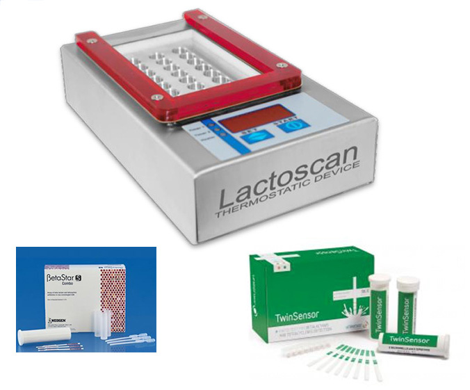 1650338514168040.jpg TET-內(nèi)容.jpg